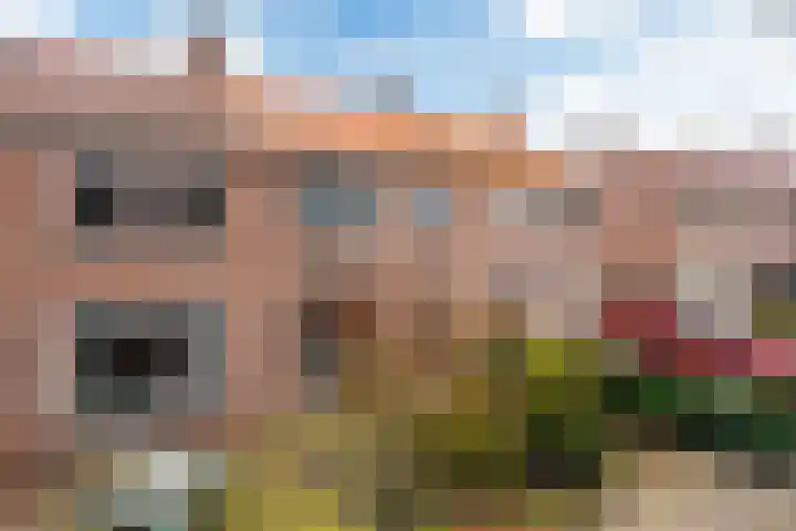 Compagnonsstrjitte 114 Gorredijk thumbnail 43
