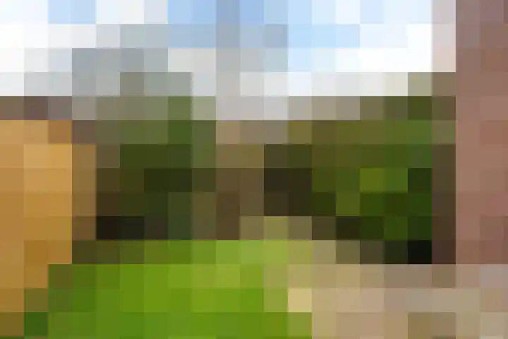 Compagnonsstrjitte 114 Gorredijk thumbnail 44