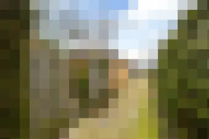 Compagnonsstrjitte 114 Gorredijk thumbnail 45