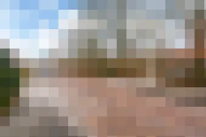 Compagnonsstrjitte 114 Gorredijk thumbnail 46