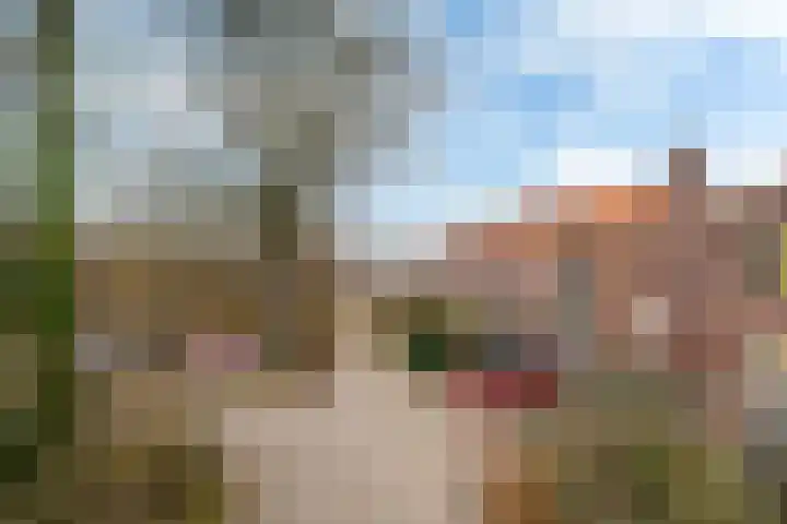 Compagnonsstrjitte 114 Gorredijk thumbnail 48