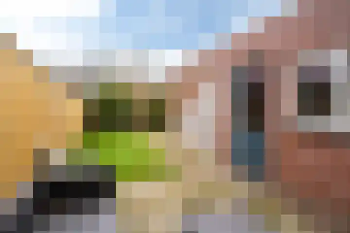 Compagnonsstrjitte 114 Gorredijk thumbnail 5