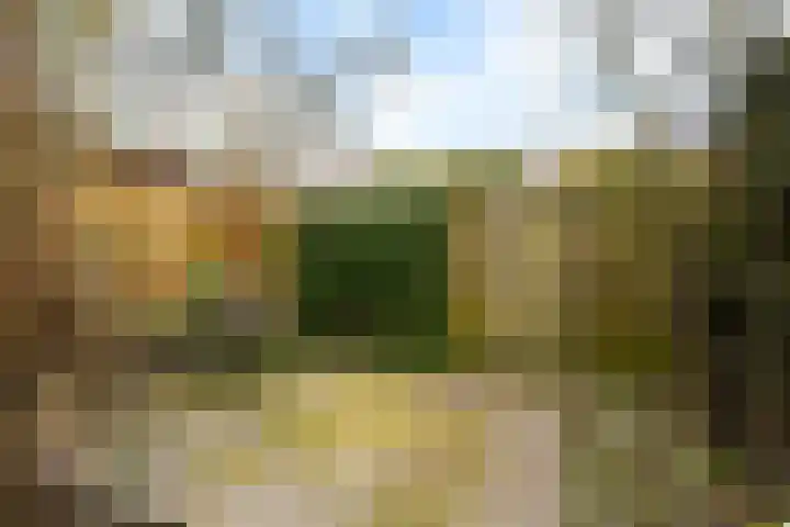 Compagnonsstrjitte 114 Gorredijk thumbnail 6