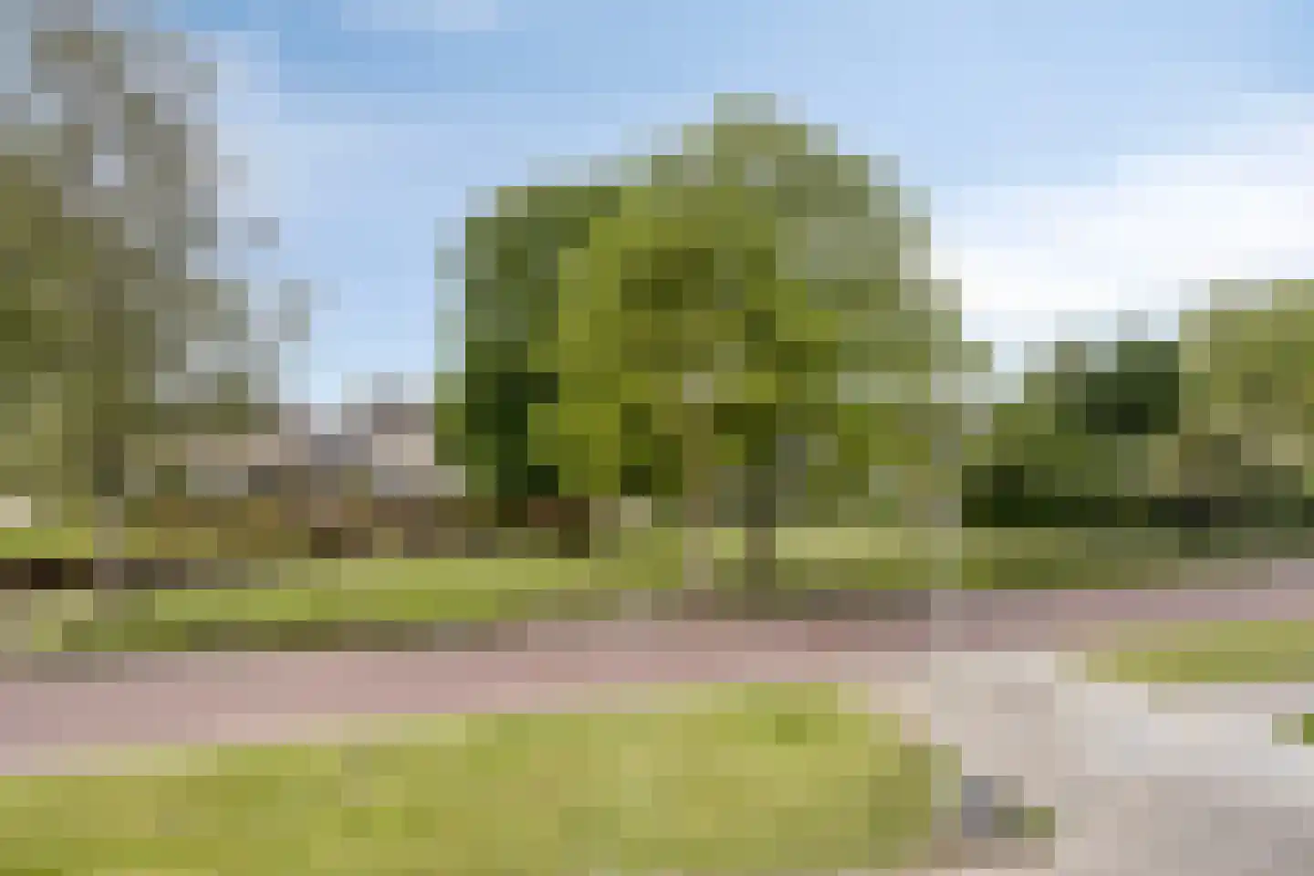 Compagnonsstrjitte 117 Gorredijk thumbnail 29