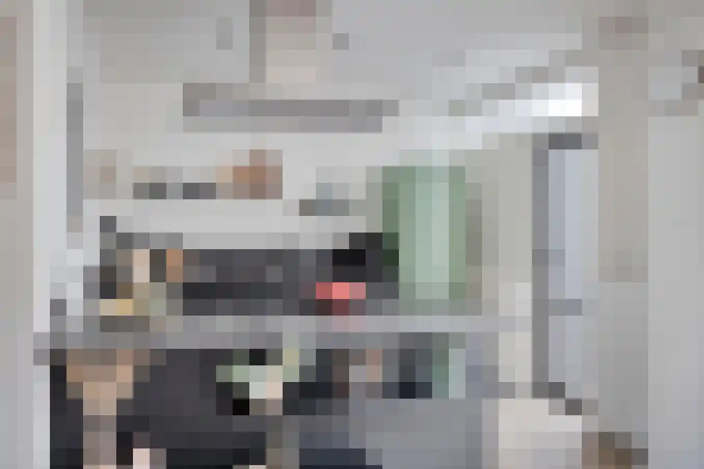 Compagnonsstrjitte 117 Gorredijk thumbnail 8