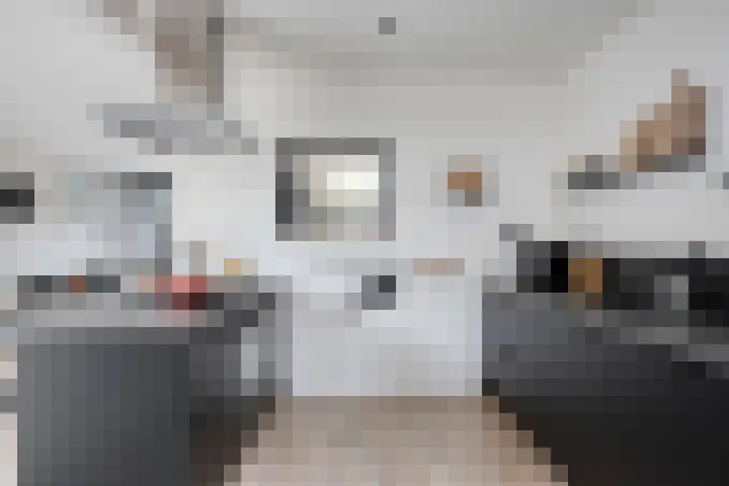 Compagnonsstrjitte 117 Gorredijk thumbnail 9
