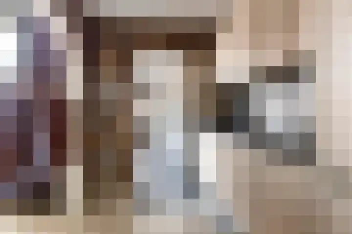 Compagnonsstrjitte 147 Gorredijk thumbnail 10