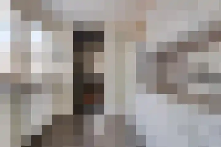 Compagnonsstrjitte 147 Gorredijk thumbnail 11