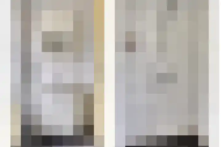 Compagnonsstrjitte 147 Gorredijk thumbnail 17
