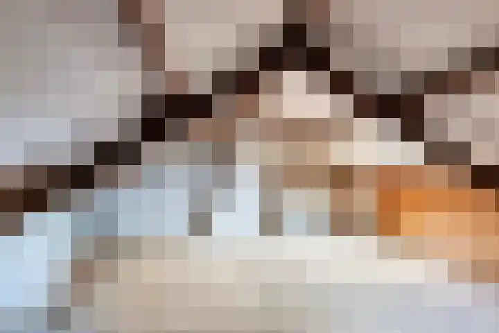 Compagnonsstrjitte 147 Gorredijk thumbnail 19
