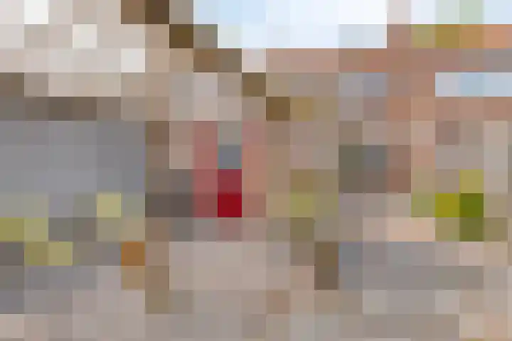 Compagnonsstrjitte 147 Gorredijk thumbnail 21