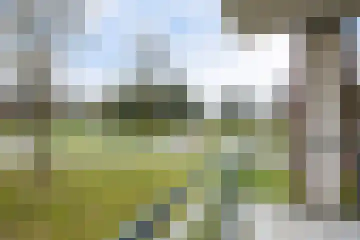 Compagnonsstrjitte 147 Gorredijk thumbnail 6