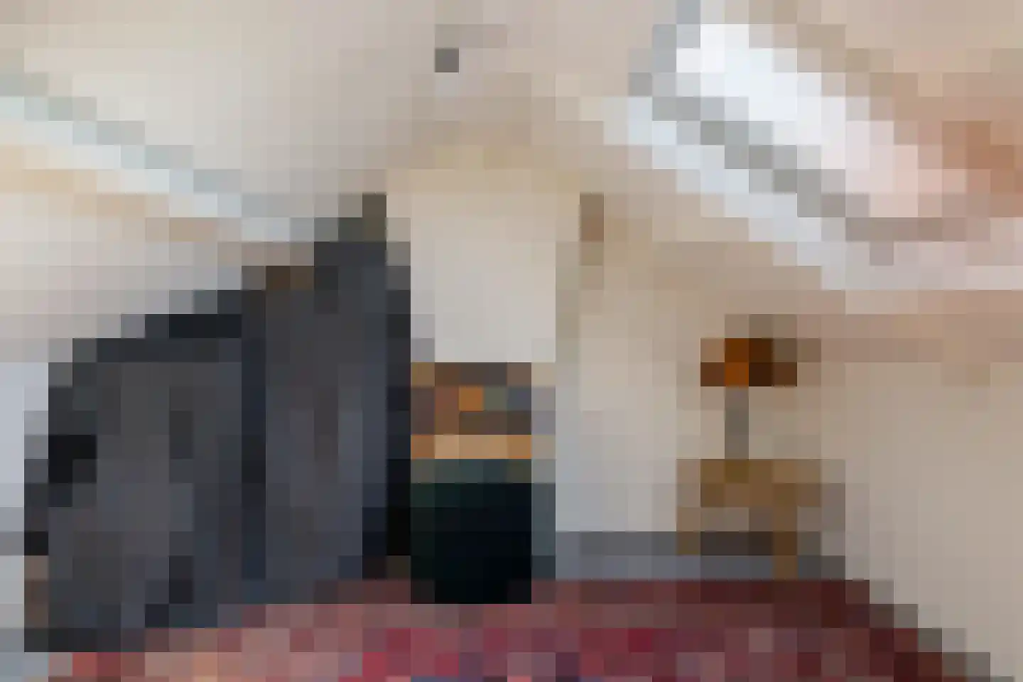 Compagnonsstrjitte 80 Gorredijk thumbnail 41