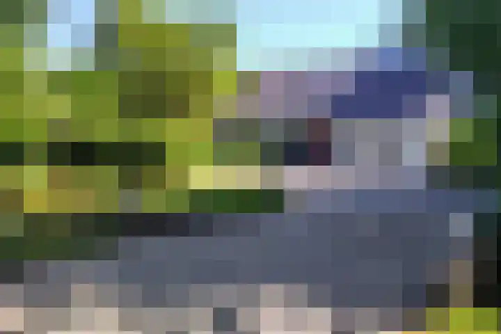 Compagnonsweg 10 in Ravenswoud