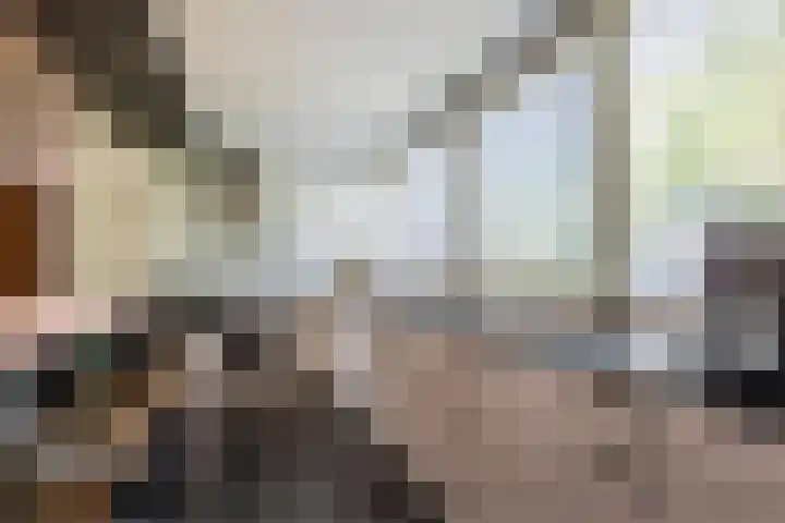 Compagnonsweg 10 Ravenswoud thumbnail 16