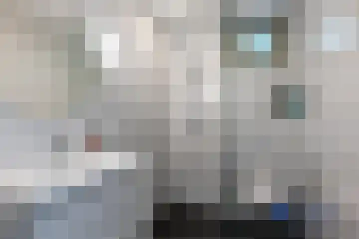 Compagnonsweg 10 Ravenswoud thumbnail 21