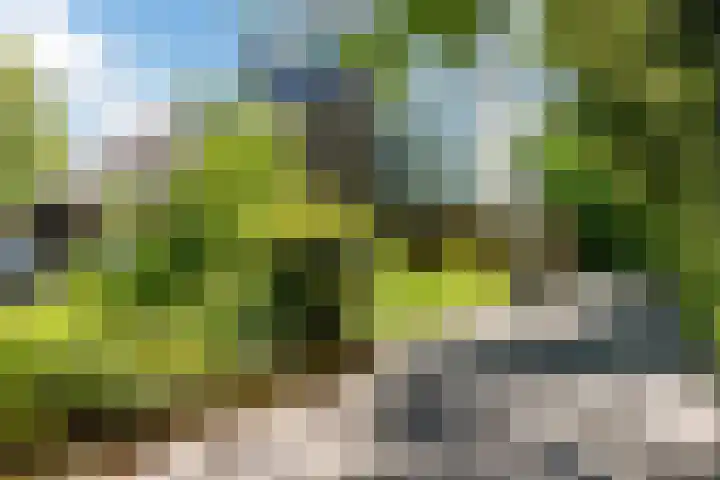 Compagnonsweg 10 Ravenswoud thumbnail 22