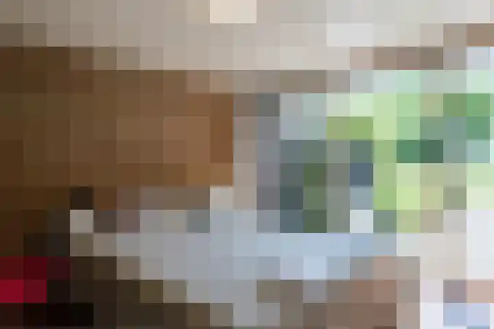 Compagnonsweg 10 Ravenswoud thumbnail 31