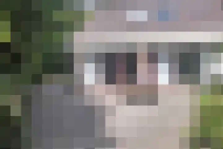Compagnonsweg 10 Ravenswoud thumbnail 32