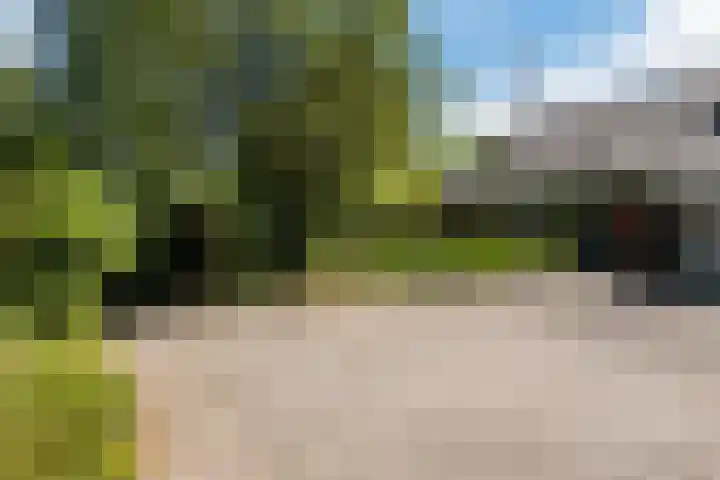 Compagnonsweg 10 Ravenswoud thumbnail 4