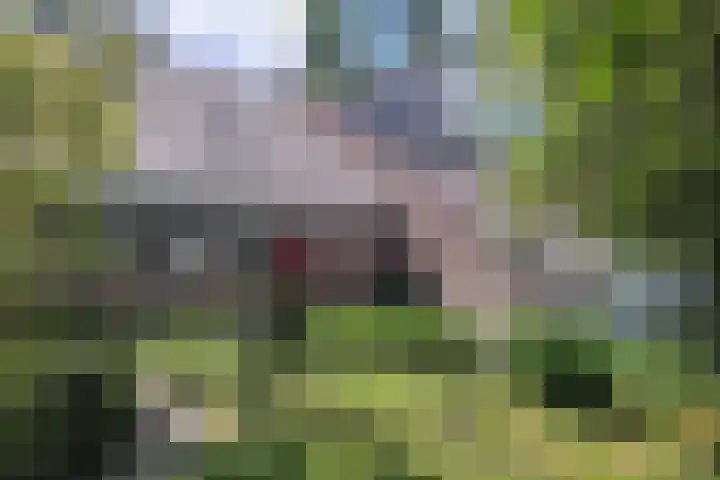 Compagnonsweg 10 Ravenswoud thumbnail 5