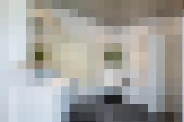 Compagnonsweg 10 Ravenswoud thumbnail 52