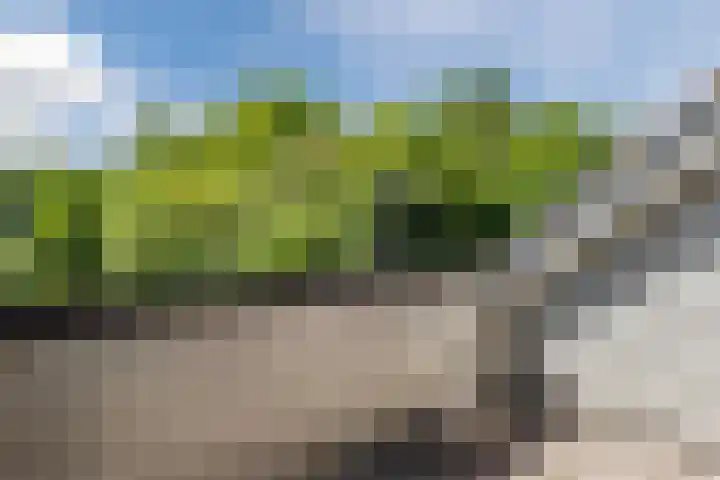 Compagnonsweg 10 Ravenswoud thumbnail 55