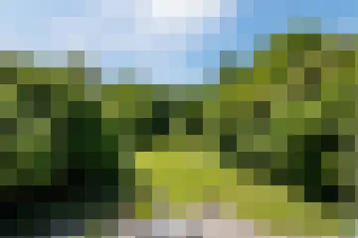Compagnonsweg 10 Ravenswoud thumbnail 56