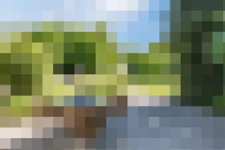 Compagnonsweg 10 Ravenswoud thumbnail 57