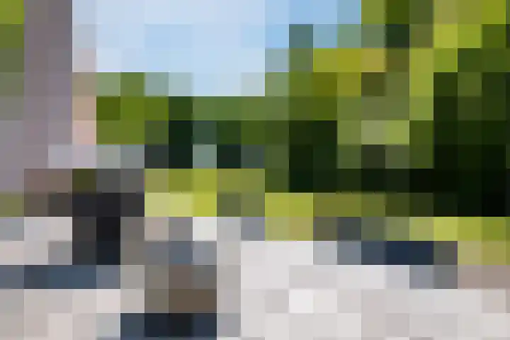 Compagnonsweg 10 Ravenswoud thumbnail 58