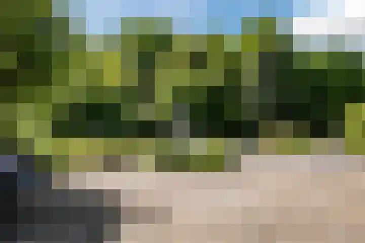 Compagnonsweg 10 Ravenswoud thumbnail 59