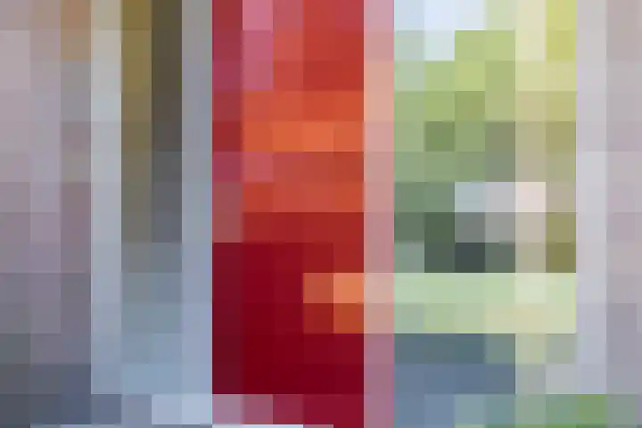 Compagnonsweg 10 Ravenswoud thumbnail 6