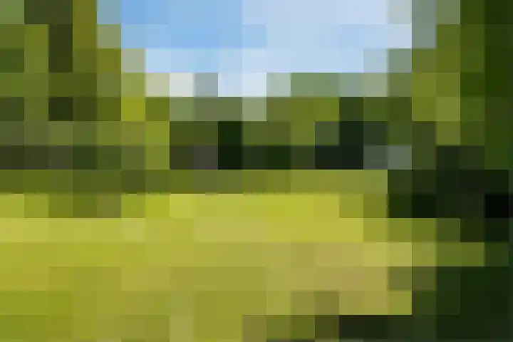 Compagnonsweg 10 Ravenswoud thumbnail 60