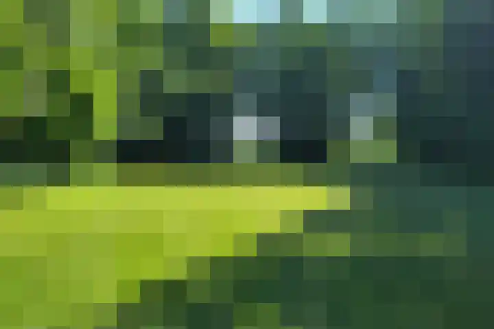 Compagnonsweg 10 Ravenswoud thumbnail 61