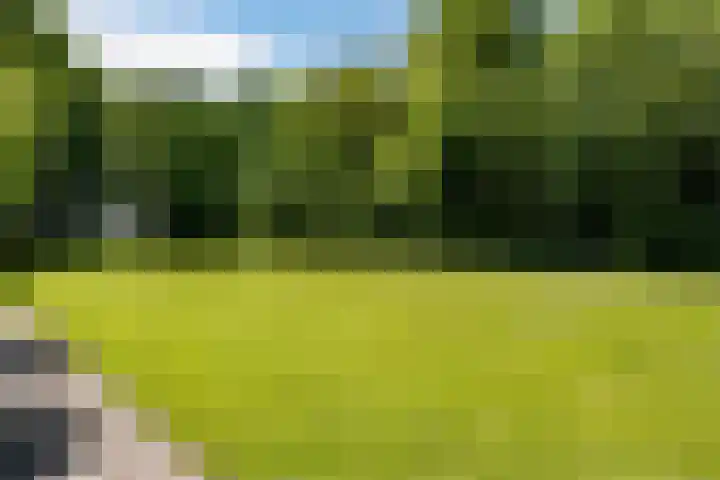 Compagnonsweg 10 Ravenswoud thumbnail 62