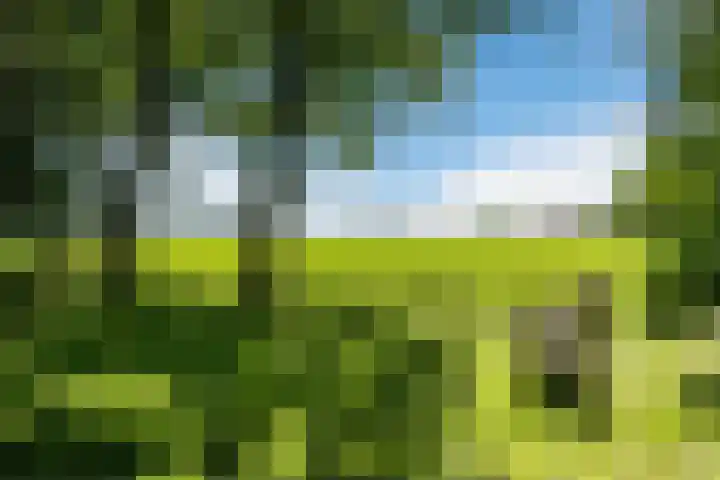 Compagnonsweg 10 Ravenswoud thumbnail 63