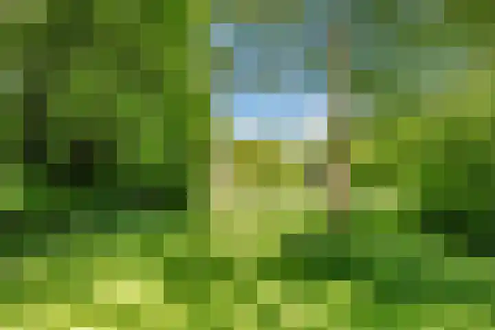 Compagnonsweg 10 Ravenswoud thumbnail 64
