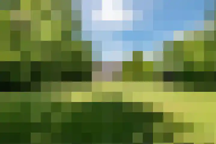 Compagnonsweg 10 Ravenswoud thumbnail 65