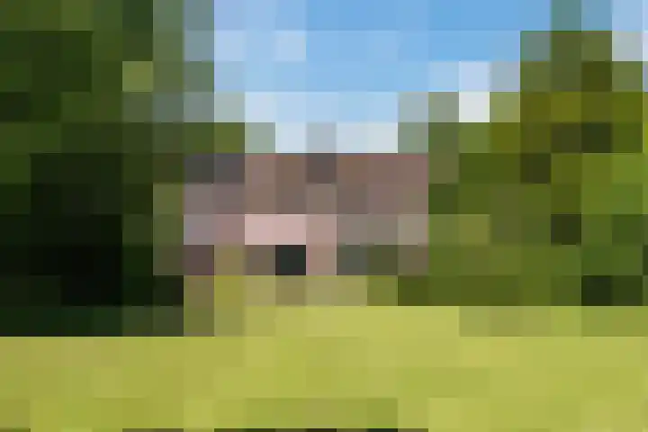 Compagnonsweg 10 Ravenswoud thumbnail 66