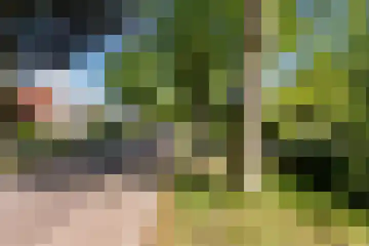 Compagnonsweg 10 Ravenswoud thumbnail 67