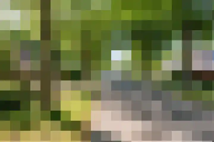 Compagnonsweg 10 Ravenswoud thumbnail 68