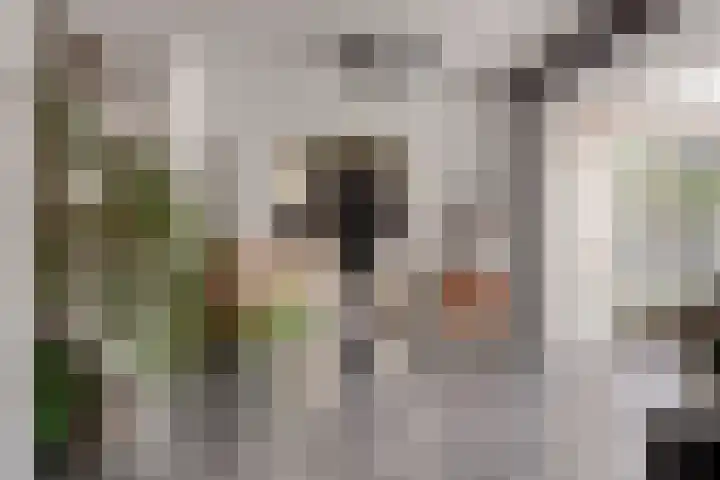 Compagnonsweg 14 Ravenswoud thumbnail 11