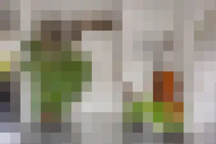 Compagnonsweg 14 Ravenswoud thumbnail 12
