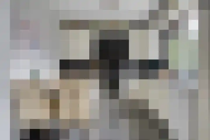 Compagnonsweg 14 Ravenswoud thumbnail 13