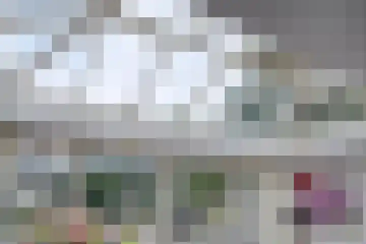 Compagnonsweg 14 Ravenswoud thumbnail 17