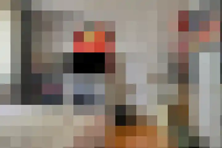 Compagnonsweg 14 Ravenswoud thumbnail 19