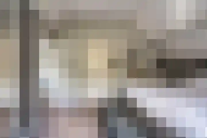 Compagnonsweg 14 Ravenswoud thumbnail 24