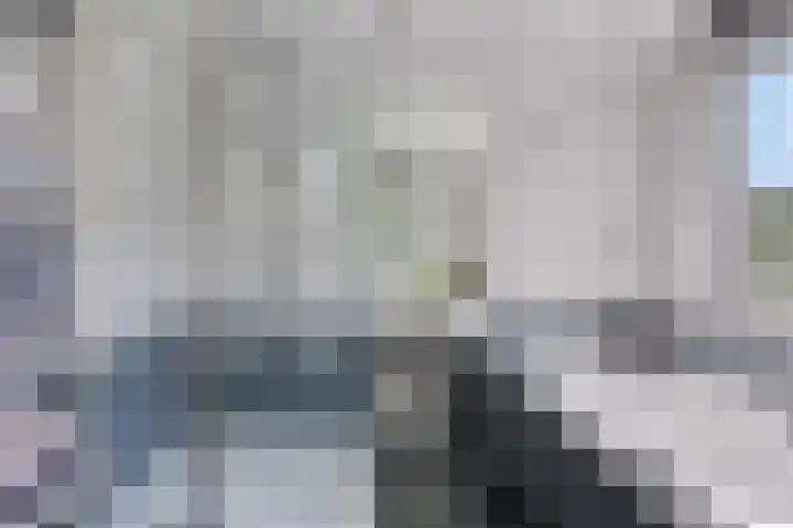 Compagnonsweg 14 Ravenswoud thumbnail 26