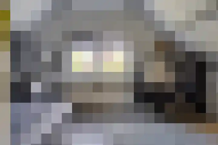 Compagnonsweg 14 Ravenswoud thumbnail 27