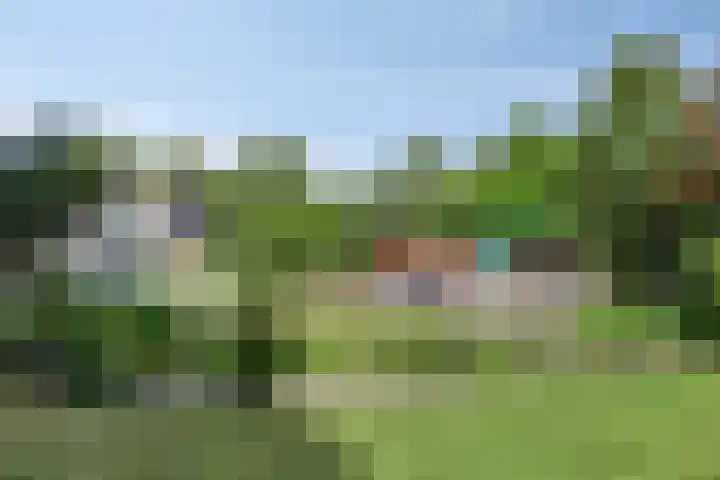 Compagnonsweg 14 Ravenswoud thumbnail 31